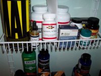 methylvaso.jpg