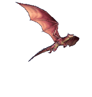 Dragon-Animation-dr-fly00.gif