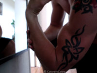 Bicep1.jpg