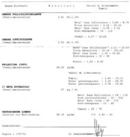 scansione0001.jpg