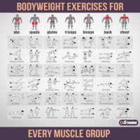 bodyweight.jpg
