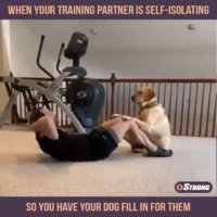 doggo spotter.jpg