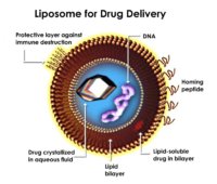 1558809-0-CyclozomeDelivery.jpg