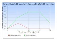 hcg half life.jpg