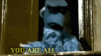 giphy (1).gif