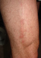 DSC03056.JPG