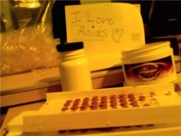 I love Roids2.jpg