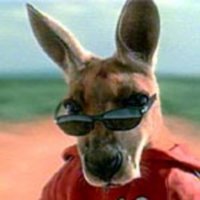 kangaroojack_pic1.jpg