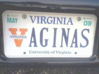 Vaginas.jpg