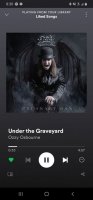 Screenshot_20210113-083011_Spotify.jpg