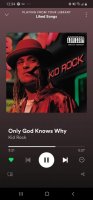 Screenshot_20210126-123500_Spotify.jpg