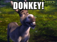 hrek-donkey-com-memegenerator-net-donkey-donkey-shrek-2-54307496~2.png