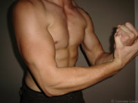 Upper Body1.jpg