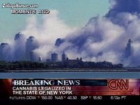 legalizednyc.jpg