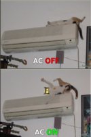 ac.jpg