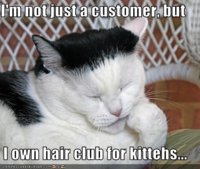 hairclubforkitteh.jpg
