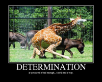 1240396204226.png