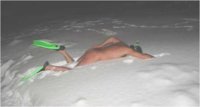 Snorkling copy.jpg