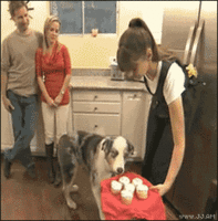 1240354954440.gif