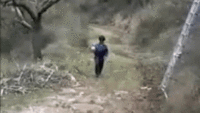 1240908234492.gif