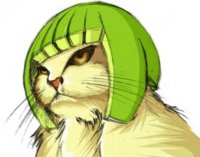 CatHelmet.jpg
