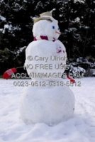 0023-0512-0318-5512_snowman.jpg