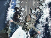 Freefly.jpg