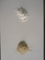 IMAG0042_small.jpg
