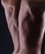 Back.jpg