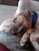 Micah with his tongue out(2).jpg