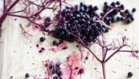 elderberry-supplements.jpg