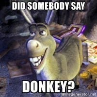 did-somebody-say-donkey.jpg