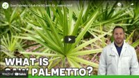 Saw-Palmetto-Supplements.jpg