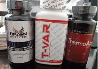 TrenaV-Thermoamp Cycle 3.jpg