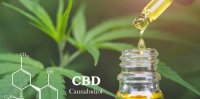 cbd-oil.jpg