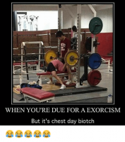 when-youre-due-for-a-exorcism-but-its-chest-day-18665689.png