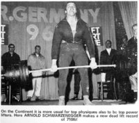 arnolddl2.jpg