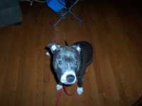 sapphire113009a.JPG