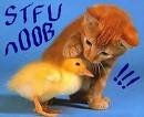stfucat.jpg