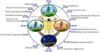 Circadian Rhythm2.jpg