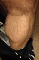 Calf.jpg