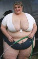 chubby.JPG