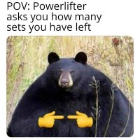 powerlifter bear.jpg