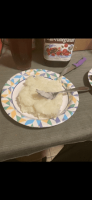 84E6812B-BC6E-426E-9895-B0D985611264.png