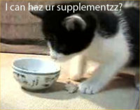 kitty.jpg
