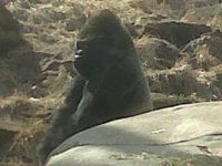 IMG00161-20100318-1627.jpg