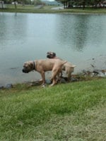 micah ella swimming.jpg
