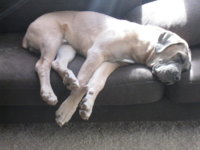 micah sleeping.jpg