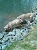 swimming 2.jpg