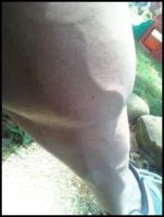 leftcalve.jpeg